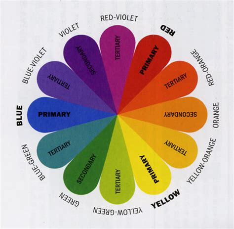 Craftsy.com | Express Your Creativity! | Family photo colors, Color wheel, Color theory