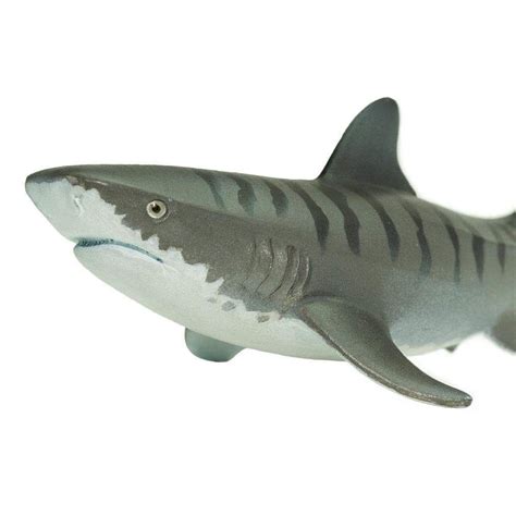 Tiger Shark Toy | Sea Life | Safari Ltd®