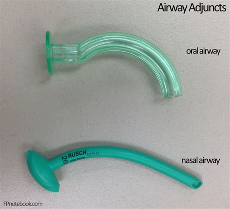 Oropharyngeal Airway And Nasopharyngeal Airway