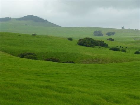 Kamuela,Hawaii...one of my favorite places in the world! | Kamuela ...