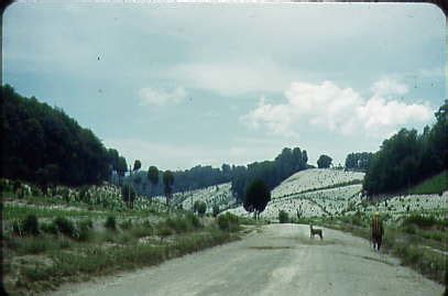 San Martin Sacatepéquez | Flickr - Photo Sharing!