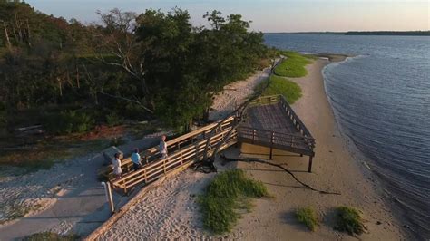 Visiting Carolina Beach State Park In North Carolina