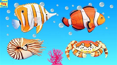 Sea Animals Toys For Children Educational 3D Puzzles - Learning Animals ...