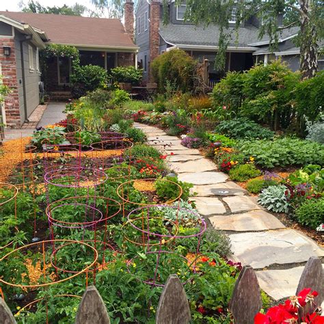 Front edible garden. Great structure keeps it organized and tidy ...