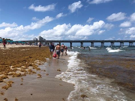 Deerfield Beach Boardwalk - 2020 What to Know Before You Go (with ...