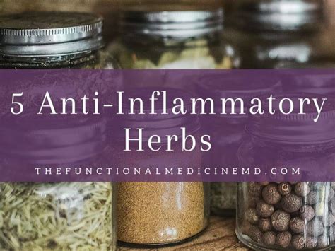 5 Anti-Inflammatory Herbs Title | Anti inflammatory herbs, Herbal medicine, Anti inflammatory