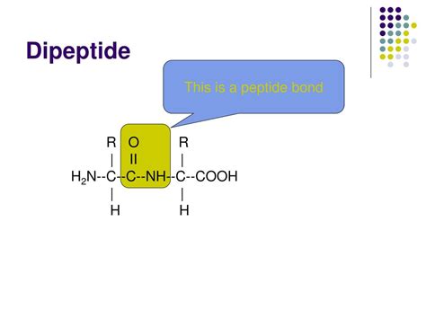 PPT - Basic Molecular Biology PowerPoint Presentation, free download - ID:4363444