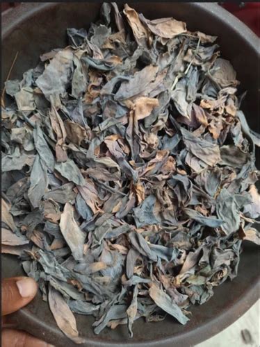 Dried Thamarai poo / Dried Lotus Flower, For Ayurvedic Raw Material at ...