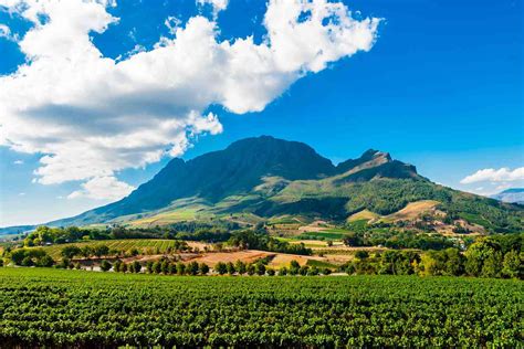 The Best Wine Destinations in Africa