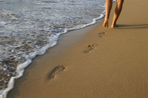 Footprints in the sand 1 Free Photo Download | FreeImages