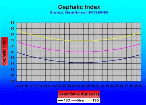 Brachycephaly Cephalic Index Chart: A Visual Reference of Charts ...