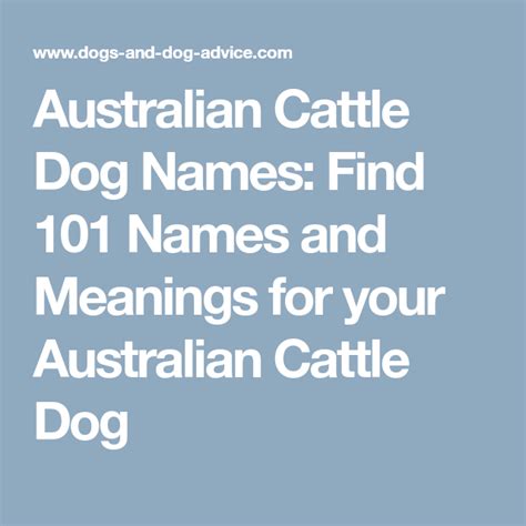 Australian Cattle Dog Names: Find 101 Names and Meanings for your Australian Cattle Dog | Dog ...