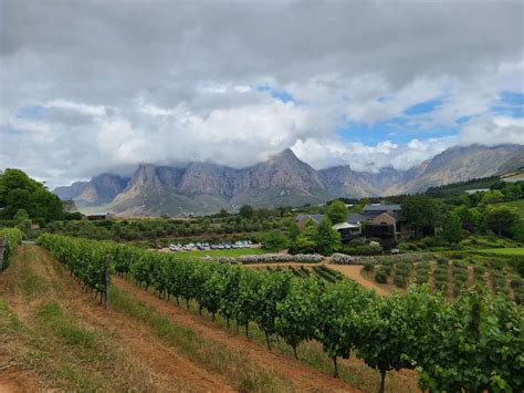 Tokara Wine Estate - New Places To Go