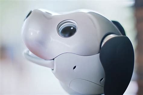 sony’s new chocolate aibo will act as watchdog over your home