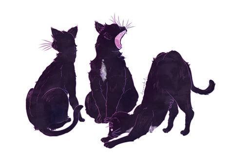 The Cat Sidhe by LavenderLevened on DeviantArt