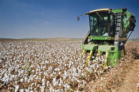 Cotton harvester | Harvesting, Automation, Efficiency | Britannica