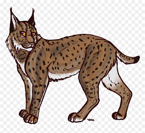 Eurasian Drawing Clip Art - Transparent Bobcat Clipart, HD Png Download ...