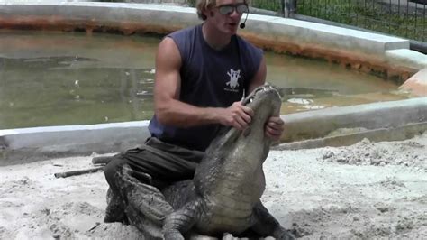 Alligator Show at Everglades Alligator Farm - YouTube