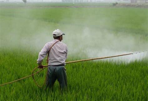 Thailand to ban three agricultural chemicals