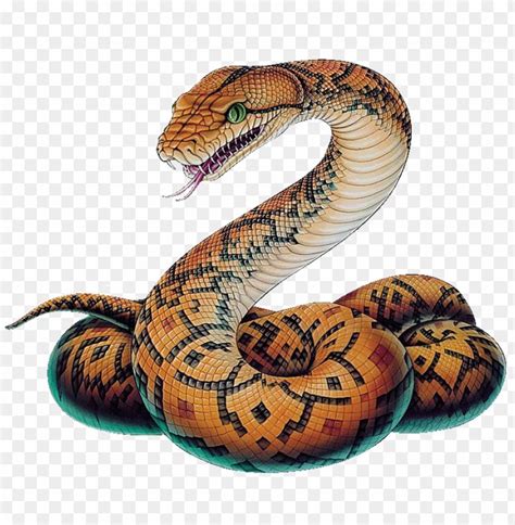 snake png image - python snake drawi PNG image with transparent ...