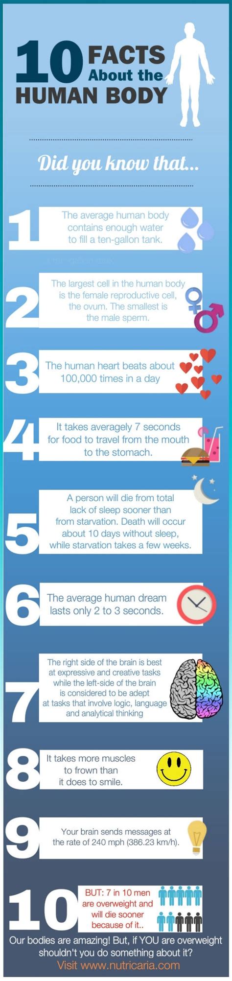 10 Facts About The Human Body