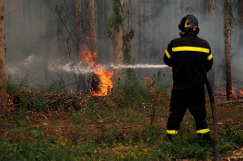 New Areas Under Threat As Chile Fires Rage And Mercury Rises | IBTimes