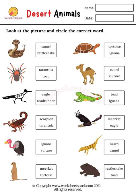 Desert Animals Worksheets for Kids - worksheetspack