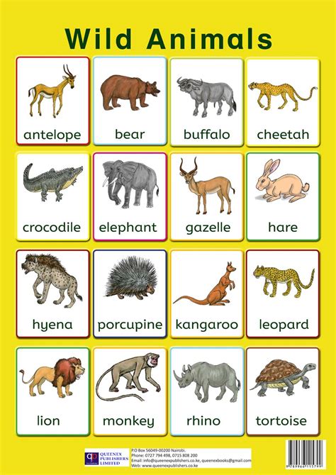 Wild animals - Queenex Publishers Limited