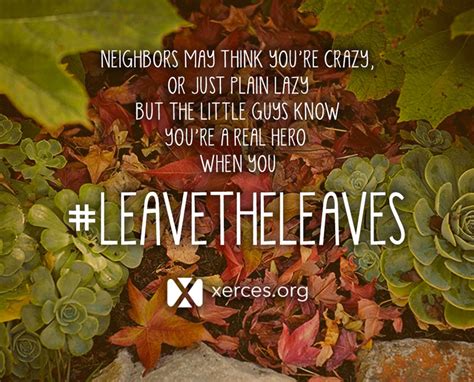 Leave the Leaves! | Xerces Society