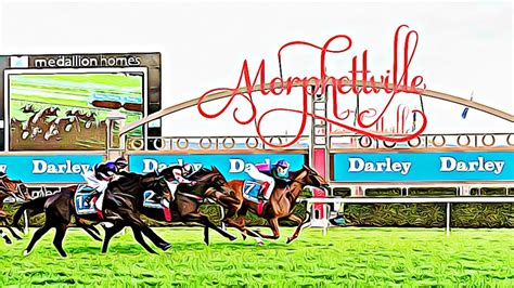 Adelaide cup 2023 - MerlinOfelia