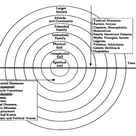 2. The family life-cycle model (Carter & McGoldrick, 2003). | Download ...