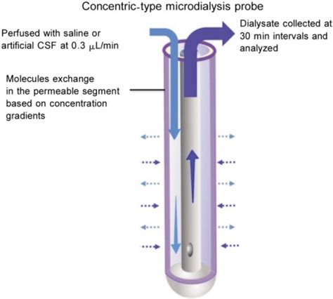 Current generation microdialysis probes have concentric | Open-i