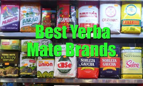 The 5 Best Yerba Mate Brands (Or What Everyone MUST-TRY!) - Yerba Mate Lab