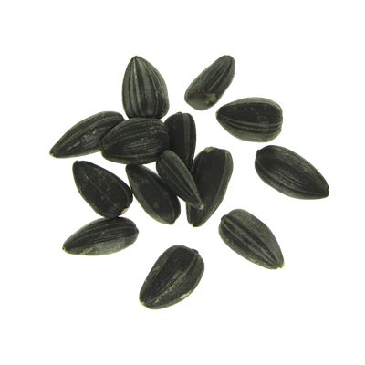 Sunflower seeds PNG