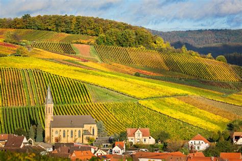 Pfalz Wine Region, Germany | Winetourism