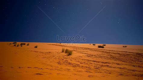 Sahara Desert At Night Picture And HD Photos | Free Download On Lovepik