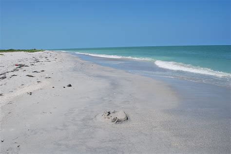 Pine Island, FL - Cayo Costa State Park | Pine Island FL | Pinterest | Park and Sanibel island