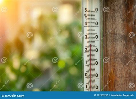 Thermometer in the Greenhouse Stock Photo - Image of agriculture, green: 122355260