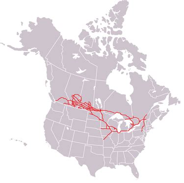 Canadian Pacific Railway - Wikiwand