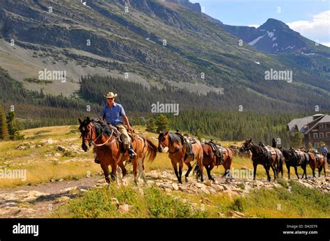 Horseback Riding Glacier National Park Montana MT US Stock Photo - Alamy