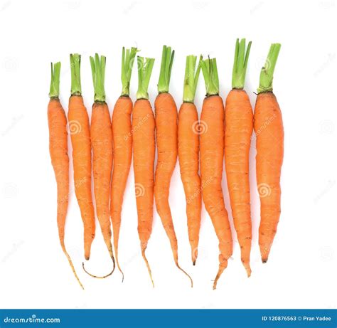 Carrot on white background stock image. Image of yellow - 120876563