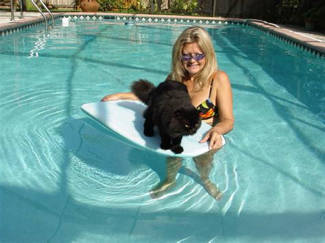 Piper the Surfing Cat