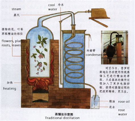 Five extraction methods for essential oils | Essential oil distillation ...