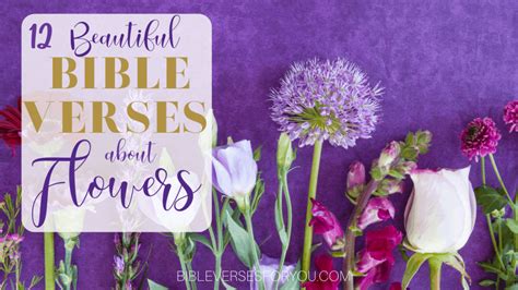 12 Beautiful Bible Verses about Flowers - Bible Verses for You