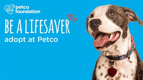 Be a LifeSaver Petco Adoption – The Humane Society of North Myrtle Beach