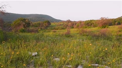 Balcones Canyonlands Wildlife Refuge celebrates its 30th birthday this Saturday | kvue.com