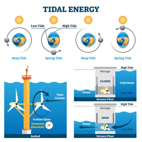 How Does Tidal Energy Work? | Payless Power