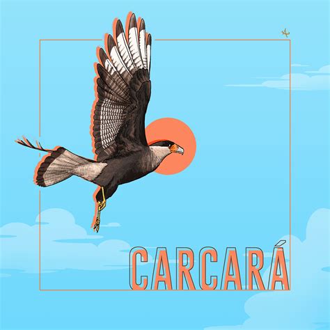 Carcará :: Behance