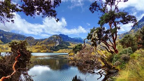 Hiking El Cajas National Park: Ecuador's Undiscovered Gem