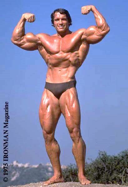 Arnold Schwarzenegger - Mr Olympia 1970 - 1975, 1980 | Schwarzenegger ...